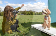 FEATURE - Alma Haser rückt Hunde ins rechte Licht in Hampstead