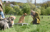 FEATURE - Alma Haser rückt Hunde ins rechte Licht in Hampstead