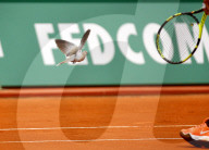 NEWS - Tennis: Eine Taube auf dem Court am Monte Carlo Masters