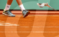 NEWS - Tennis: Eine Taube auf dem Court am Monte Carlo Masters