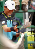 NEWS - Tennis: Eine Taube auf dem Court am Monte Carlo Masters