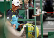 NEWS - Tennis: Eine Taube auf dem Court am Monte Carlo Masters