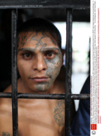 Ms-13: The Notorious Gang Of El Salvador