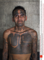Ms-13: The Notorious Gang Of El Salvador
