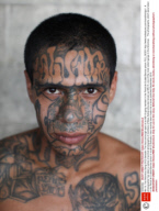 Ms-13: The Notorious Gang Of El Salvador