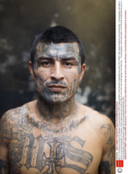 Ms-13: The Notorious Gang Of El Salvador