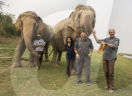 PEOPLE - Paul O'Grady hat ein Herz für Elefanten in Delhi