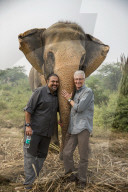 PEOPLE - Paul O'Grady hat ein Herz für Elefanten in Delhi