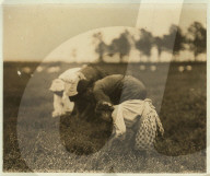 FEATURE - USA: Kinderarbeit zwischen 1908 und 1924