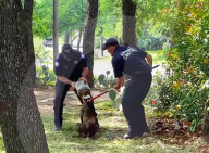 FEATURE - Hund steckte drei Tage mit dem Kopf in Plastikbehälter 