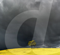 FEATURE - Land und Wetter in Cambridgeshire