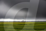 FEATURE - Land und Wetter in Cambridgeshire
