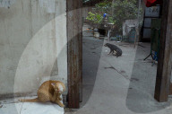 FEATURE - Strassenfotografie in China 