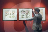 NEWS - Polen: 'Art in Art' Ausstellung in Krakau
