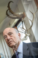 PORTRAIT - Alain Juppe