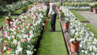 White Garden at Kensington Palace