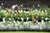 White Garden at Kensington Palace
