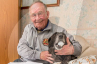 FEATURE - Der Hund der 51 000 Golfbälle gesammelt hat