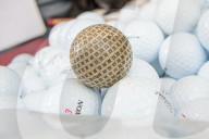 FEATURE - Der Hund der 51 000 Golfbälle gesammelt hat