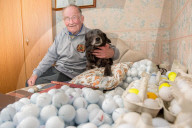 FEATURE - Der Hund der 51 000 Golfbälle gesammelt hat