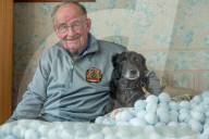 FEATURE - Der Hund der 51 000 Golfbälle gesammelt hat