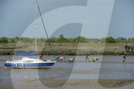 FEATURE - Schlammrennen in Essex