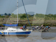FEATURE - Schlammrennen in Essex