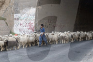 REPORTAGE - Iran: Bachtiaren Nomaden