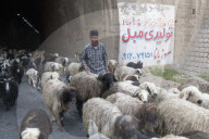 REPORTAGE - Iran: Bachtiaren Nomaden