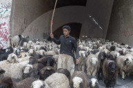 REPORTAGE - Iran: Bachtiaren Nomaden