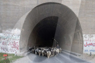 REPORTAGE - Iran: Bachtiaren Nomaden