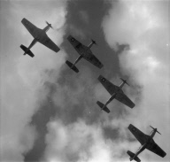 stunning photos of the Tuskegee Airmen, America's first Black military airmen