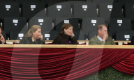 PEOPLE - Lady Louise Windsor: Die Zügel fest in der Hand an der Royal Horse Show in Windsor