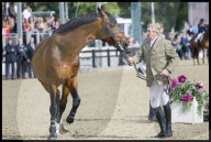 PEOPLE - Die Royal an der Royal Horse Show in Windsor