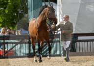 PEOPLE - Die Royal an der Royal Horse Show in Windsor