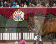 PEOPLE - Die Royal an der Royal Horse Show in Windsor