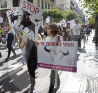 NEWS - Madrid: Demonstation gegen Stierkämpfe