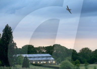 PEOPLE - Pippa Hochzeit: Mit einer Flugshow feiern die Gäste