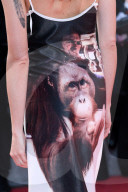 PEOPLE - Cannes 2017: Premiere von" The Beguiled"