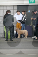 PEOPLE - Louis Tomlinson kriegt Besuch von Freundin Elanor