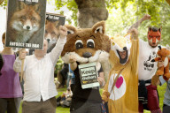 NEWS - Protest in London gegen Fuchsjagd
