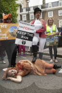 NEWS - Protest in London gegen Fuchsjagd