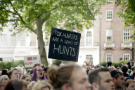 NEWS - Protest in London gegen Fuchsjagd
