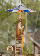 FEATURE - Eichhörnchen badet mit Regenschirm
