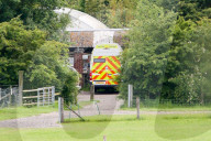 NEWS - Hamerton: Tiger beisst Tierpflegerin tot