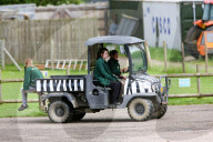 NEWS - Hamerton: Tiger beisst Tierpflegerin tot