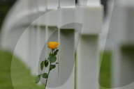 NEWS - Gedenktag: 73 Jahre nach der Landung in der Normandie