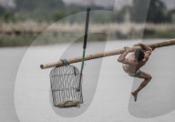 FEATURE - Entenfangen in China