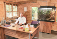 FEATURE - Katzenhotel in Kent