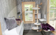 FEATURE - Katzenhotel in Kent